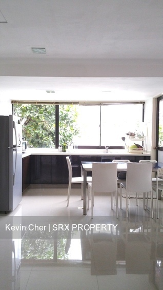 Cairnhill Astoria (D9), Apartment #555565321